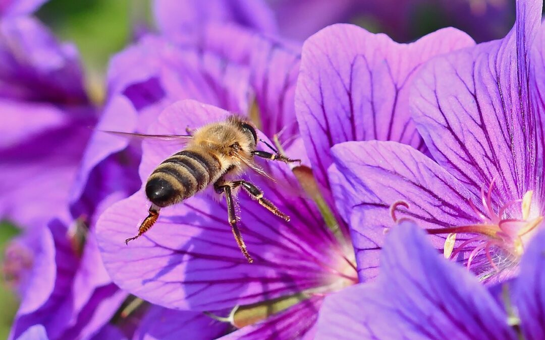 LA NEWSLETTER  SEPTEMBRE OCTOBRE 2025